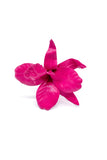 M&S Smallberg Purple & Magenta Leather Orchids and Crushed Velvet Blue Orchid by Flower Couturier MS Schmalberg
