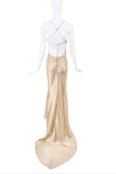 Roberto Cavalli Gold Sheer Low Back Gown