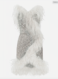 Dolce & Gabbana Silver Sequin Asymmetric Feather Dress