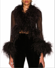 Saint Laurent Black Sheer Feather Blouse