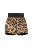 Dolce & Gabbana Black Brown Leopard Print Mini Shorts