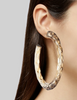 Lanvin Brown Ombre Clear XL Hoop Earrings