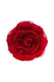M&S Smallberg Burgundy Silk and Red Rose Chiffon Pair